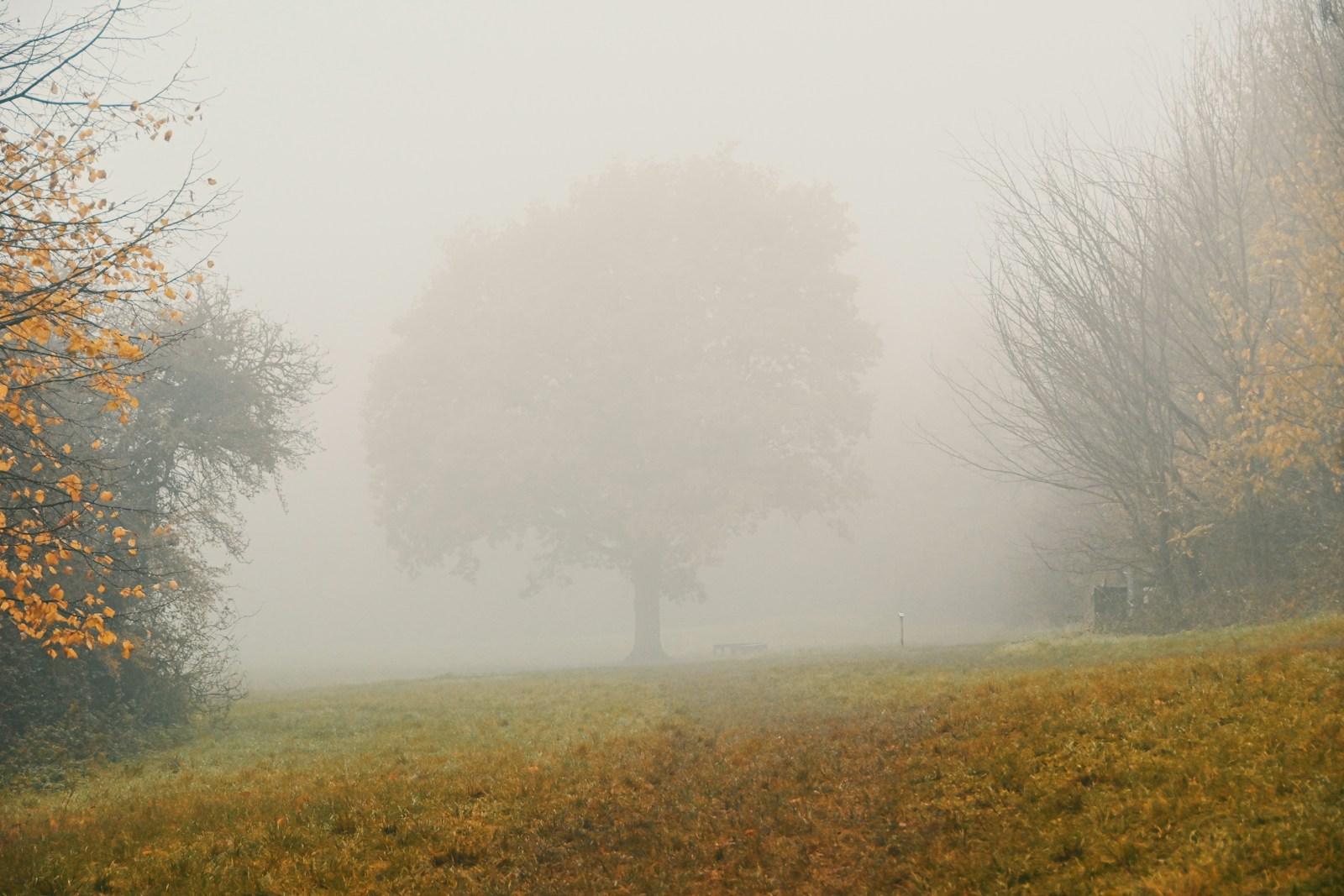 Manchester Homeowners: How to Monitor Your Property’s Seasonal Movement Patterns